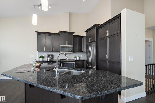 3090 Cameron Heights Way Nw, Edmonton, AB - Indoor Photo Showing Kitchen With Double Sink With Upgraded Kitchen