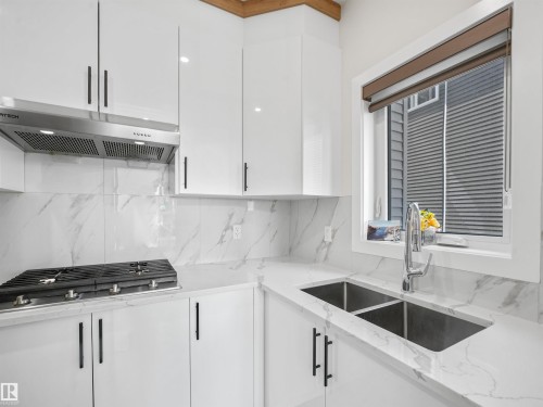 4621 170A Avenue Nw, Edmonton, AB - Indoor Photo Showing Kitchen With Double Sink