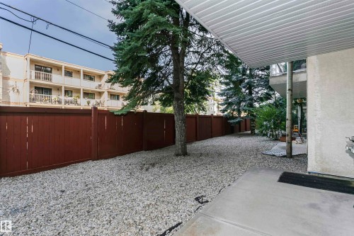 Gravel-covered outdoor space featuring a mature evergreen tree - #106 12110 106 Av Nw, Edmonton, AB - Outdoor