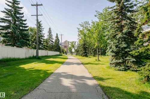 Paved pathway bordered by manicured lawn and mature evergreen trees - #106 12110 106 Av Nw, Edmonton, AB - Outdoor