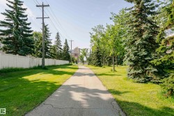 Paved pathway bordered by manicured lawn and mature evergreen trees - 