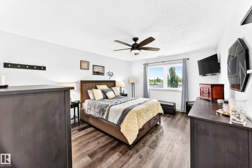Bedroom featuring wood-finish flooring, a ceiling fan with integrated lighting, and a large window with white framing - #401 14810 51 Av Nw, Edmonton, AB - Indoor Photo Showing Bedroom