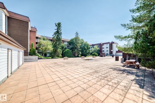 Expansive paved patio area featuring a picnic table and surrounding mature trees - #401 14810 51 Av Nw, Edmonton, AB - Outdoor