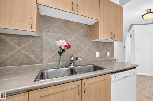 #105 9938 104 St Nw, Edmonton, AB - Indoor Photo Showing Kitchen With Double Sink