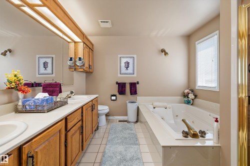 45 Blue Quill Crescent Nw, Edmonton, AB - Indoor Photo Showing Bathroom