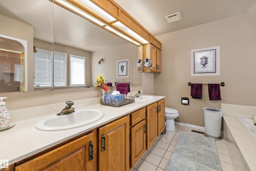 45 Blue Quill Crescent Nw, Edmonton, AB - Indoor Photo Showing Bathroom