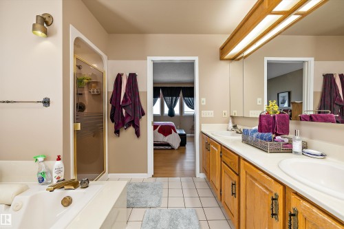 45 Blue Quill Crescent Nw, Edmonton, AB - Indoor Photo Showing Bathroom