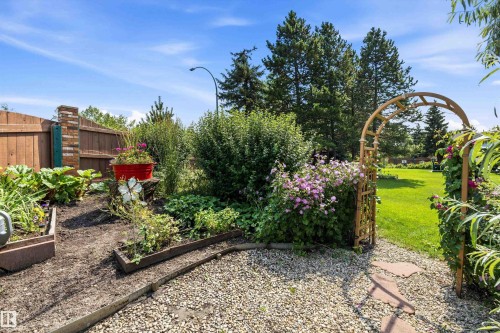 45 Blue Quill Crescent Nw, Edmonton, AB - Outdoor