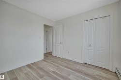 Bright interior space featuring light-toned walls and wood-finish flooring - 
