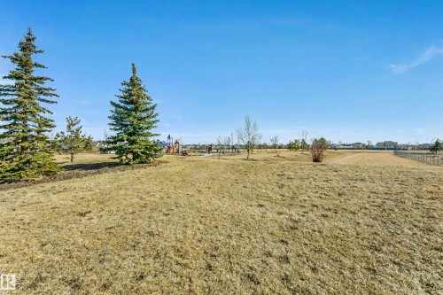 Expansive open green space featuring mature evergreen trees and distant recreational playground equipment - #104 9519 160 Av Nw, Edmonton, AB - Outdoor With View