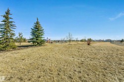 Expansive open green space featuring mature evergreen trees and distant recreational playground equipment - 