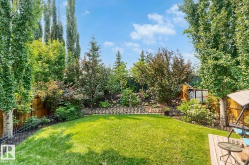 Expansive backyard oasis featuring a lush, level lawn bordered by mature evergreen and deciduous trees - 22 Voleta Crest, Spruce Grove, AB - Outdoor