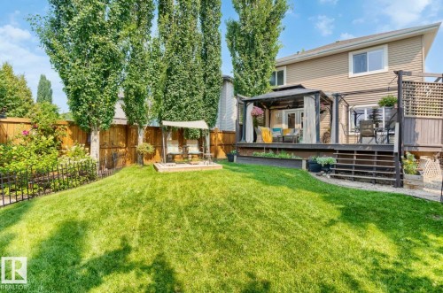 Expansive backyard oasis featuring a manicured lawn, mature poplar trees providing natural screening, a spacious composite deck with overhead pergola structure, and access to the home via a multi-level deck system - 22 Voleta Crest, Spruce Grove, AB - Outdoor With Deck Patio Veranda