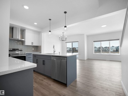 19066 20A Avenue Nw, Edmonton, AB - Indoor Photo Showing Kitchen With Upgraded Kitchen