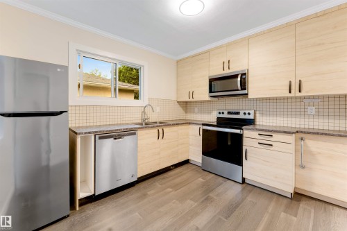 12105 87 Street Nw, Edmonton, AB - Indoor Photo Showing Kitchen With Double Sink