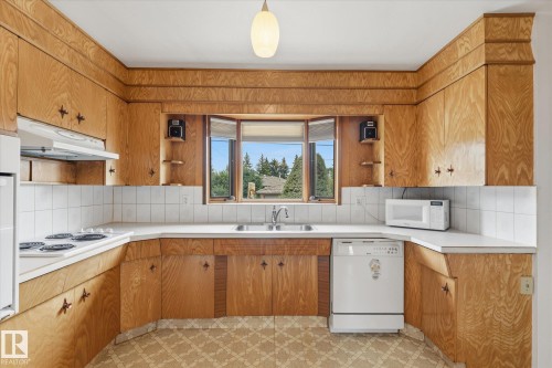 8727 73 Street Nw, Edmonton, AB - Indoor Photo Showing Kitchen With Double Sink