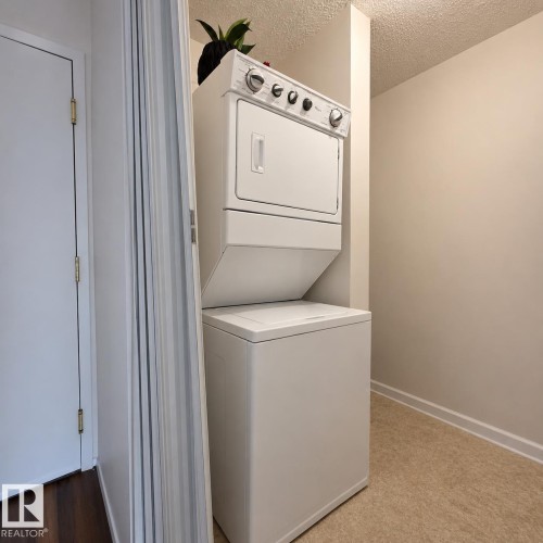 #201 17467 98A Av Nw, Edmonton, AB - Indoor Photo Showing Laundry Room