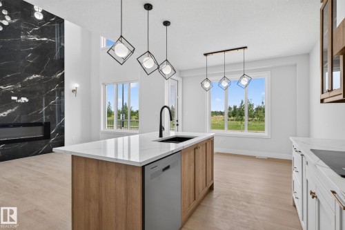 4272 Charles Close Sw, Edmonton, AB - Indoor Photo Showing Kitchen With Upgraded Kitchen