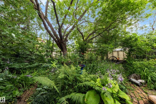 12220 109 Avenue Nw, Edmonton, AB - Outdoor