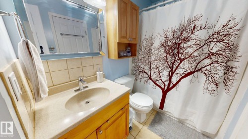 7935 22 Avenue Nw, Edmonton, AB - Indoor Photo Showing Bathroom