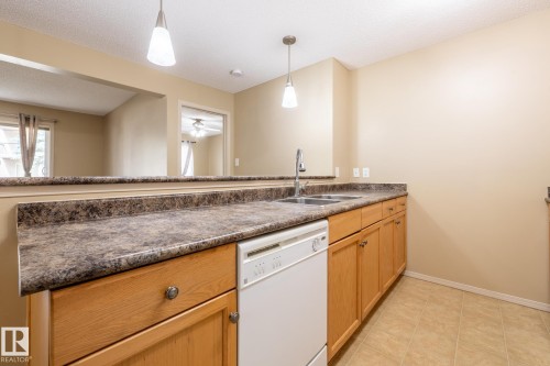 #106 1188 Hyndman Rd Nw, Edmonton, AB - Indoor Photo Showing Kitchen With Double Sink