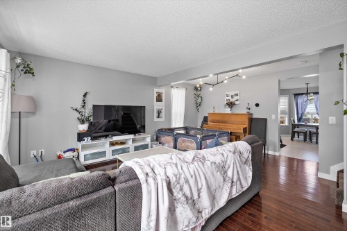 11630 167B Avenue Nw, Edmonton, AB - Indoor Photo Showing Living Room