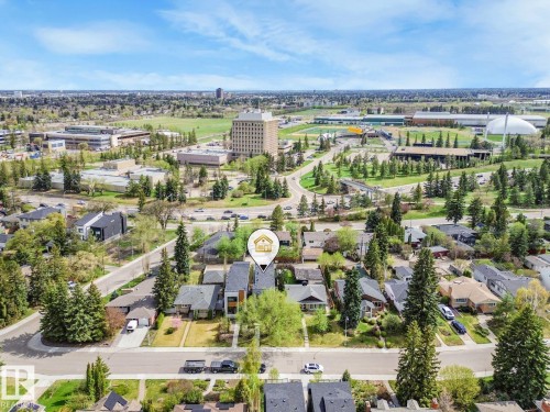Aerial perspective showcasing a residential street with mature trees - 11613 72 Avenue Nw, Edmonton, AB - Outdoor With View