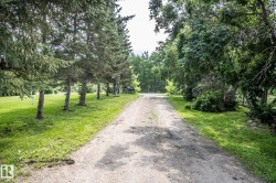 Gravel driveway framed by mature trees and manicured lawns - 