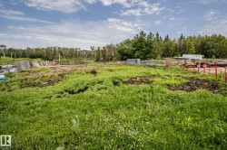 Expansive agricultural land featuring a verdant field with varied terrain, surrounded by natural wooded areas - 