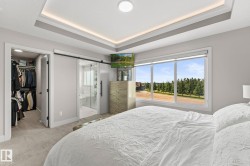 Bedroom featuring a tray ceiling with integrated lighting, a large window offering exterior scenery, and light gray wall paint - 