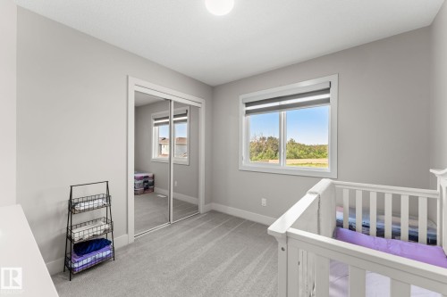 Light gray carpeting complements pale wall finishes - 12383 176 Avenue Nw, Edmonton, AB - Indoor