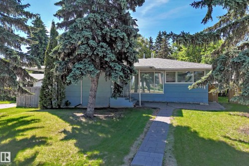 Blue exterior residence with a gray shingle roof, featuring mature evergreen trees, a paved walkway, a manicured lawn, and a light-toned privacy fence - 12011 87 Avenue Nw, Edmonton, AB - Outdoor