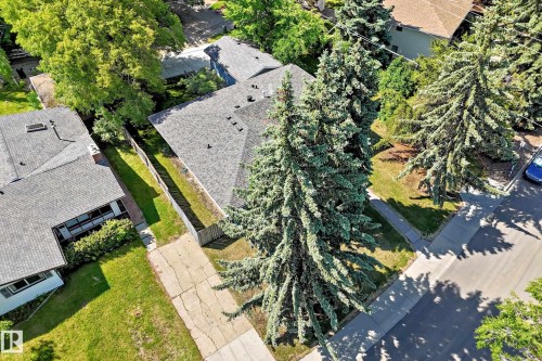 Pitched roof home with mature evergreen trees, a concrete driveway, and a fenced backyard - 12011 87 Avenue Nw, Edmonton, AB - Outdoor With View