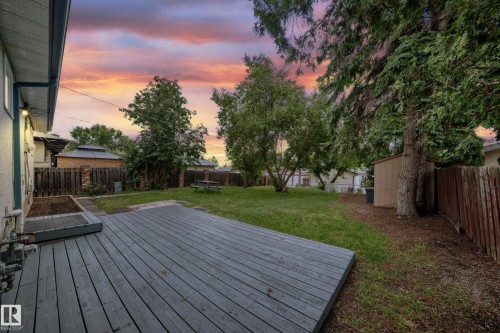 Spacious backyard featuring a large wood-finish deck, expansive lawn, mature perimeter trees, and a wooden storage shed - 5519 142 Avenue Nw, Edmonton, AB - Outdoor With Deck Patio Veranda