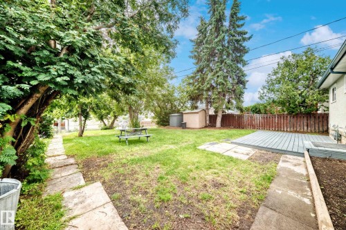 Expansive backyard featuring a large green lawn, mature trees, a wood deck, a storage shed, and a stone paver pathway - 5519 142 Avenue Nw, Edmonton, AB - Outdoor