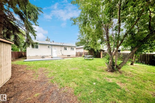 Expansive backyard featuring a manicured lawn, established mature trees, a concrete patio, and a utility shed - 5519 142 Avenue Nw, Edmonton, AB - Outdoor With Backyard