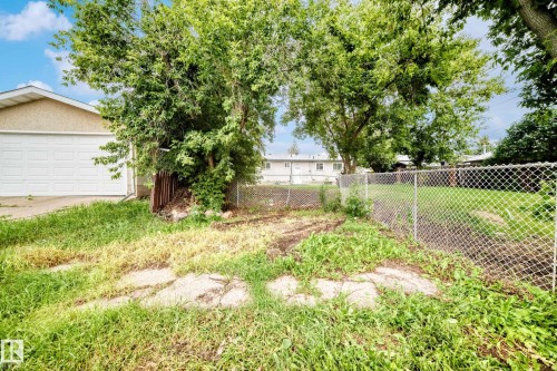 Expansive rear yard area featuring mature trees, a chain-link fence, and a gravel driveway beside the attached garage - 5519 142 Avenue Nw, Edmonton, AB - Outdoor