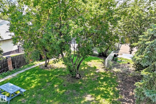 Expansive grassy area featuring mature trees providing ample shade - 5519 142 Avenue Nw, Edmonton, AB - Outdoor