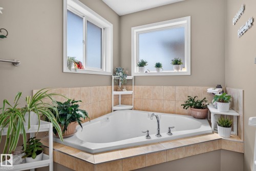 226 Brookview Way, Stony Plain, AB - Indoor Photo Showing Bathroom