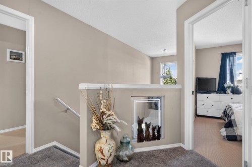 226 Brookview Way, Stony Plain, AB - Indoor Photo Showing Other Room