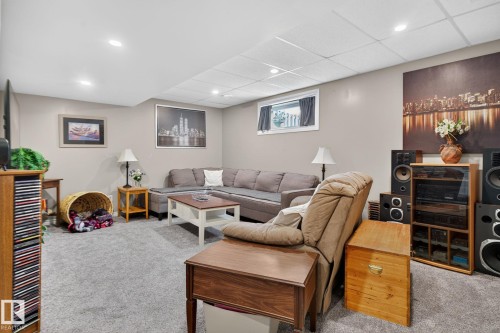 226 Brookview Way, Stony Plain, AB - Indoor Photo Showing Basement