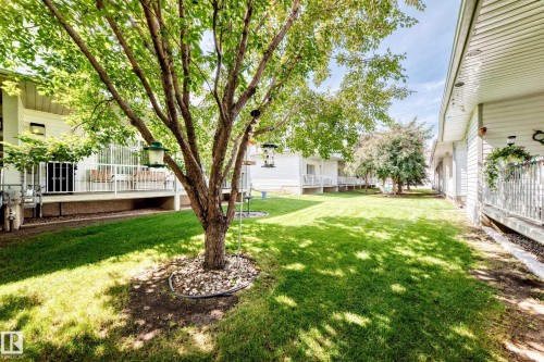 #204 4807 43A Av, Leduc, AB - Outdoor With Deck Patio Veranda