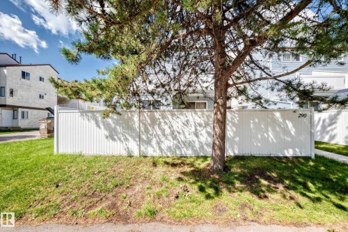 Spacious backyard with mature shade tree, white vinyl privacy fencing, and lush lawn - 290 Lancaster Terrace Nw, Edmonton, AB - Outdoor