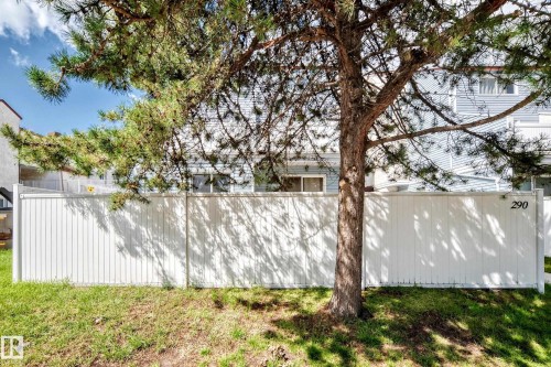 Mature shade tree anchors this private backyard retreat, offering natural screening and dappled sunlight - 290 Lancaster Terrace Nw, Edmonton, AB - Outdoor