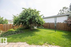 Expansive backyard featuring a mature tree, green lawn, and wood privacy fencing - 