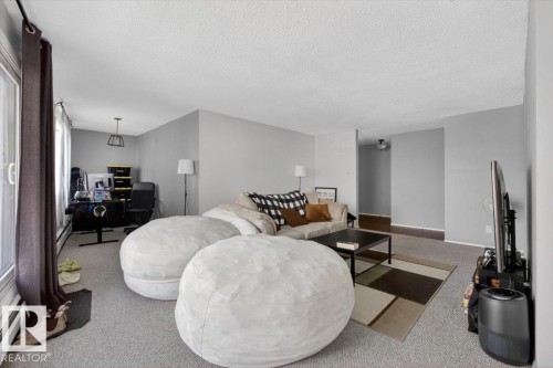 #301 10335 117 St Nw, Edmonton, AB - Indoor Photo Showing Living Room