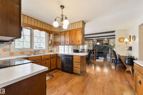 206 Wolf Willow Crescent Nw, Edmonton, AB - Indoor Photo Showing Kitchen With Double Sink