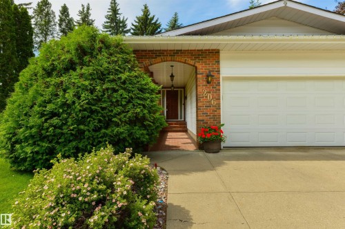 206 Wolf Willow Crescent Nw, Edmonton, AB - Outdoor