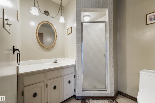 206 Wolf Willow Crescent Nw, Edmonton, AB - Indoor Photo Showing Bathroom
