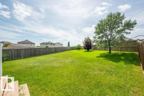 3508 16 Street Nw, Edmonton, AB - Outdoor With Backyard